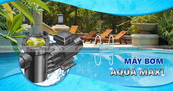 Máy Bơm Bể Bơi Procopi Aqua Maxi