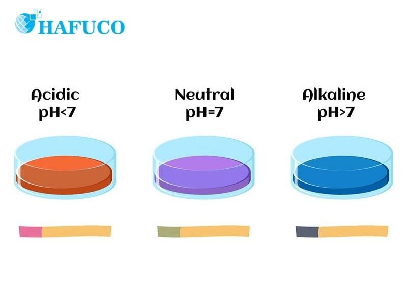 Na2CO3 làm quỳ tím chuyển màu từ tím sang xanh