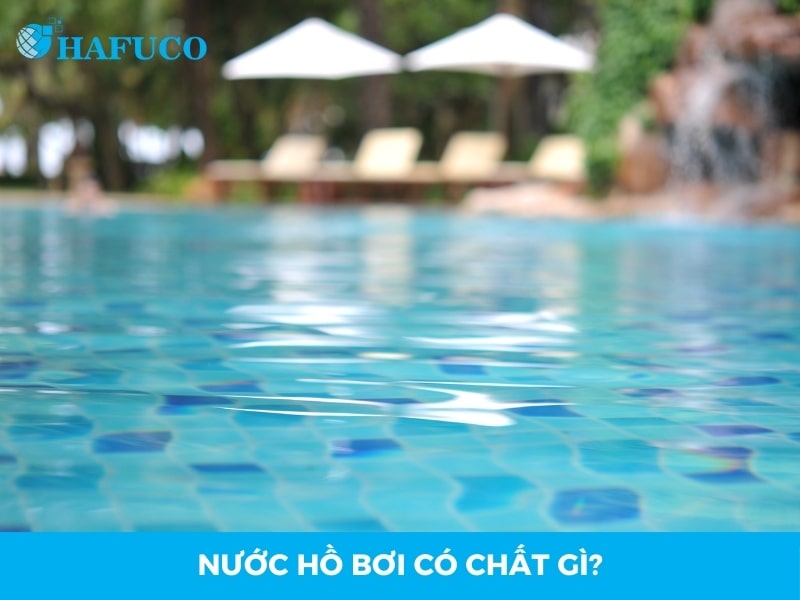 Nước hồ bơi có chất gì?