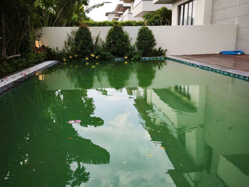 Hafuco bàn giao công trình vệ sinh bể bơi tại Đồng Tháp