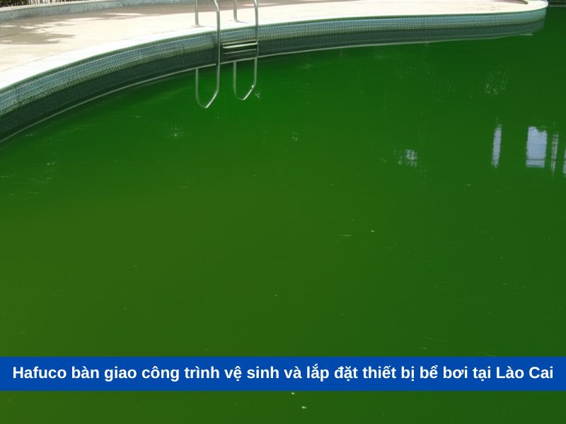 Hafuco bàn giao công trình vệ sinh và lắp đặt thiết bị bể bơi tại Lào Cai